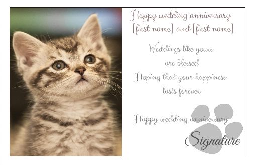 Wedding Cat Nuptials virtual free