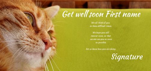 Card Cat Recovery Brown Green free template