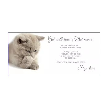 card cat recovery animals 