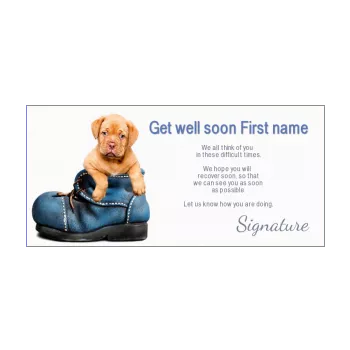 card dog recovery blue brown shoe animals 