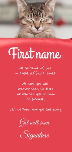 Card Cat Recovery Red virtual free