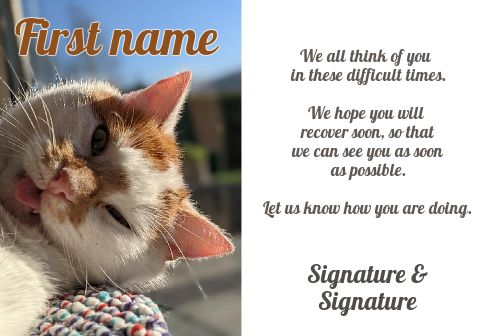 Funny Card Cat Recovery Brown virtual free