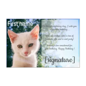 happy birthday card cat blue white 