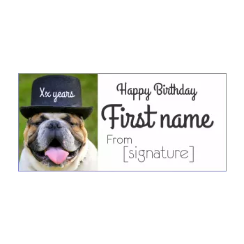 funny happy birthday card dog animals 