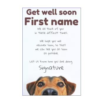 card dog recovery brown animals 