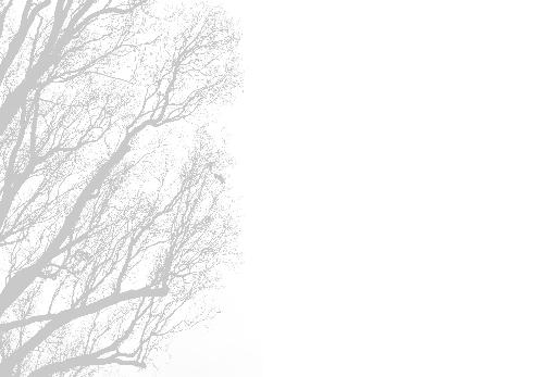 Verso Card Condolences Tree Yellow template