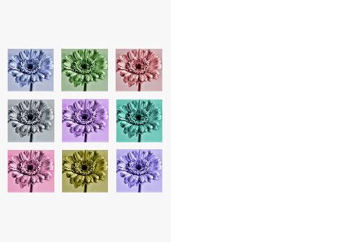 Verso Card Condolences Fruit Green Mauve virtual