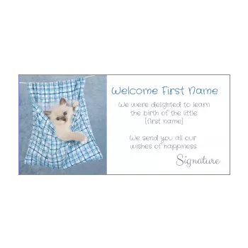 card congratulations birth cat baby blue 