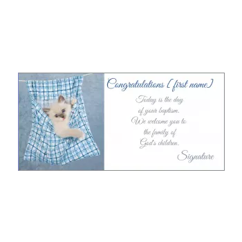 card congratulations baptism cat blue animals 