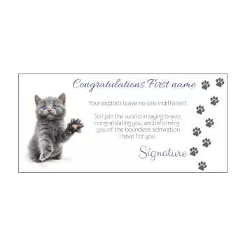 card congratulations cat grey 