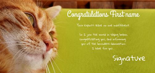 Card Congratulations Cat Brown Green free template