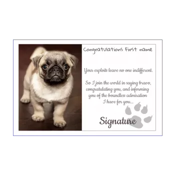 card congratulations dog brown 