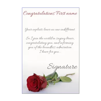 card congratulations flower red rose 