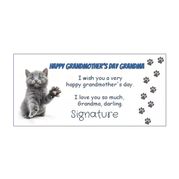 card grandmother party cat blue grey animals 