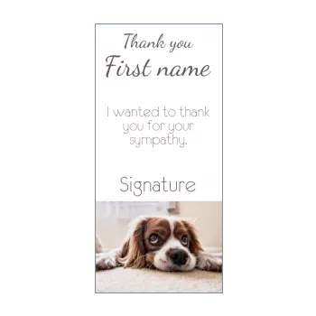 card thanks dog thank you white 