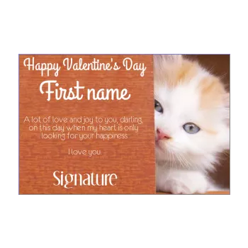 card wishes valentine s day cat brown white animals 