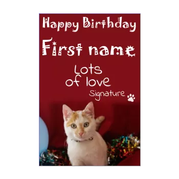 happy birthday card cat kid red animals 