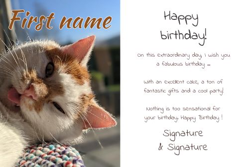 Funny Happy Birthday Card Cat virtual free