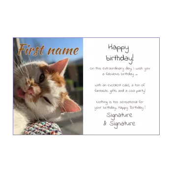 funny happy birthday card cat brown white 