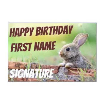 happy birthday card green kid rabbit animals 