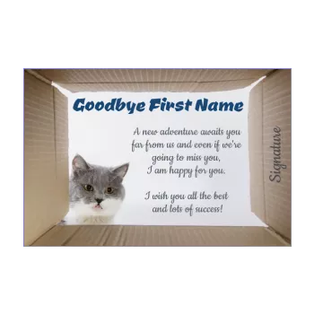 card cardboard farewell goodbye cat animals 