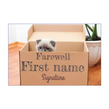 card cardboard farewell goodbye cat moving animals 