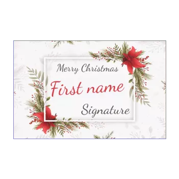 happy card wishes christmas fir flower red 