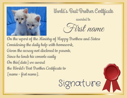 Certificate Best Brother Cat Blue template