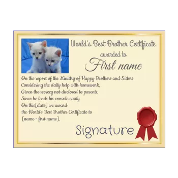 certificate best brother cat blue yellow 