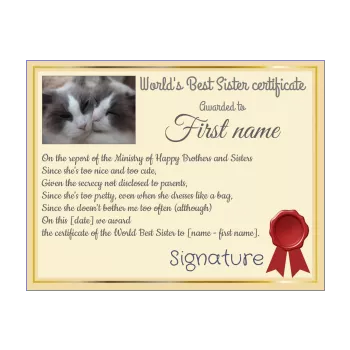 certificate best cat sister yellow 