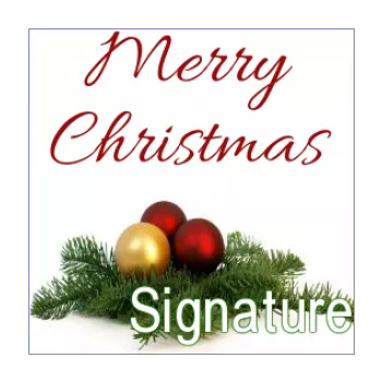 label gift christmas ball fir green red 