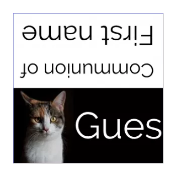 label communion table cat black animals 