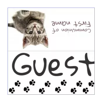 label communion table cat white animals 