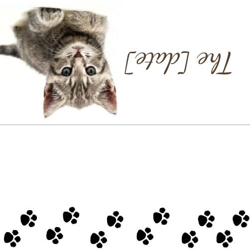 Wedding Label Table Cat template