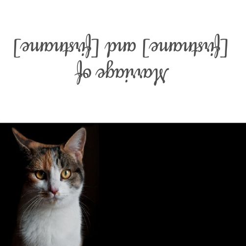 Wedding Label Table Cat template