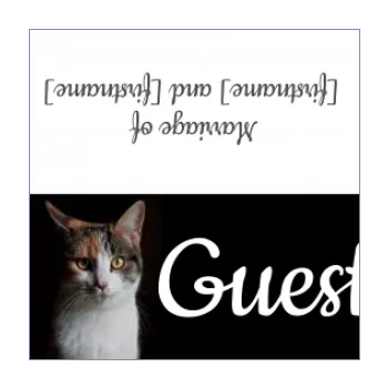 wedding label table cat black 