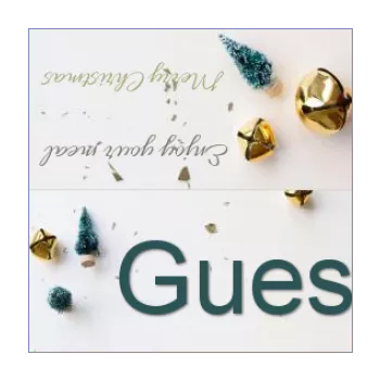 label place card dinner christmas table fir green 