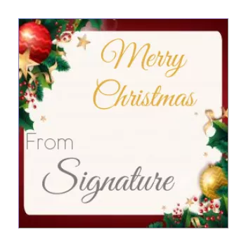 label gift christmas golden ball fir red 