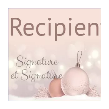 label gift christmas pastel ball rose 