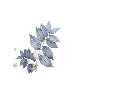 Verso Wedding Announcement Invitation Heart Blue template