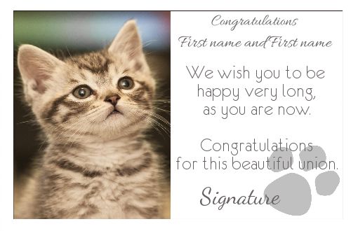 Wedding Congratulations Cat free template