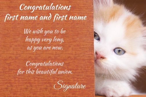 Wedding Congratulations Cat free template