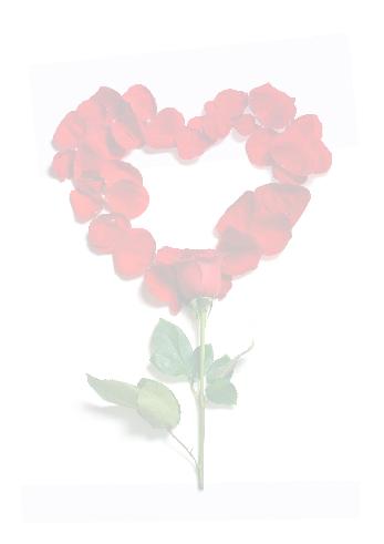 Verso Wedding Congratulations Flower template