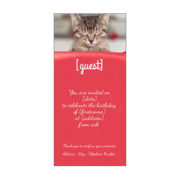 birthday card invitation cat red animals 