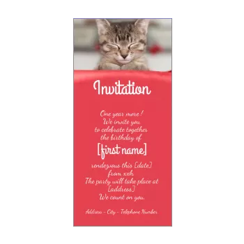 birthday card invitation cat red animals 