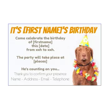 funny birthday card invitation dog brown kid animals 