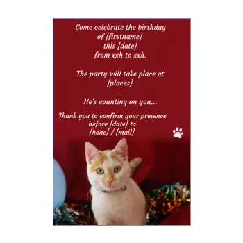 birthday card invitation cat kid red 