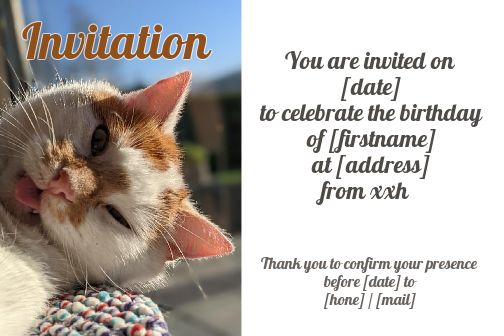 Funny Birthday Card Invitation Cat free template
