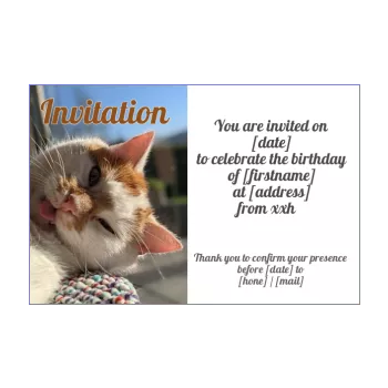 funny birthday card invitation cat brown white 