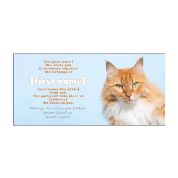 birthday card invitation cat blue brown animals 